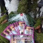 Wellness Harmonie Rohanov ゲストハウス プラハティツェ