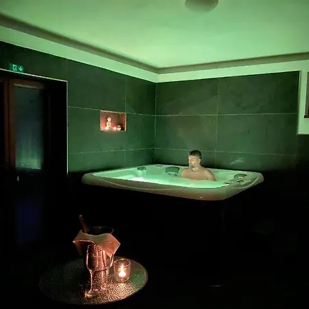 Wellness Harmonie Rohanov 게스트하우스