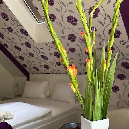 Wellness Harmonie Rohanov 3* Prachatice