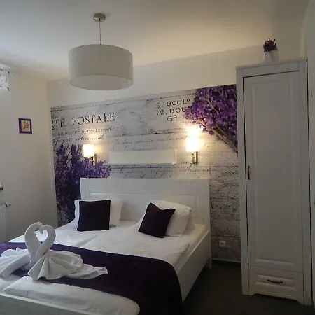 Pensjonat Wellness Harmonie Rohanov 3*