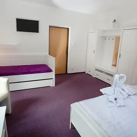 Wellness Harmonie Rohanov Vendégház 3*