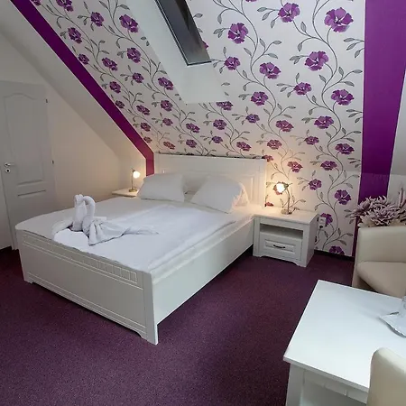Wellness Harmonie Rohanov Vendégház 3*
