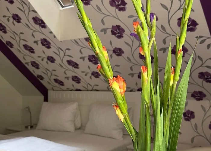 Wellness Harmonie Rohanov 3* Prachatice
